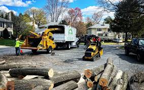 Best Soil Testing and Treatment  in Olean, NY